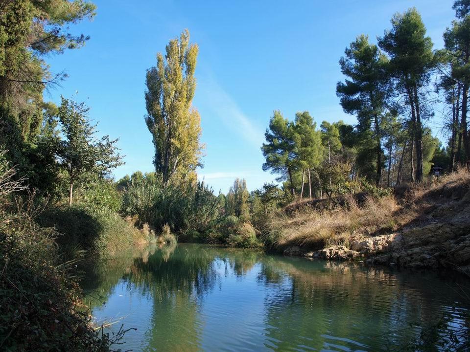 Airam Home Aragon, 7 Almansa Dış mekan fotoğraf