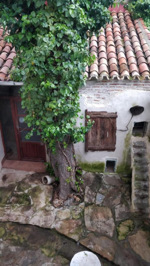 Airam Home Aragon, 7 Almansa Dış mekan fotoğraf